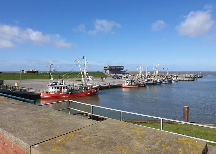 Tatil Evi Wattwurm *